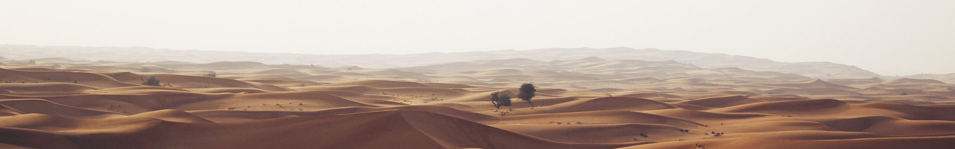 ˫»Ƽ޹˾